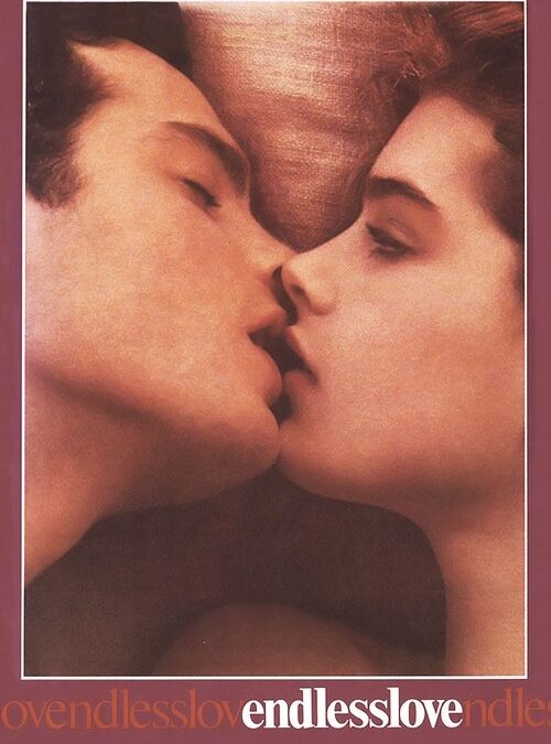 映画「エンドレス・ラブ」の名言と鑑賞した感想おすすめ度（1981年）