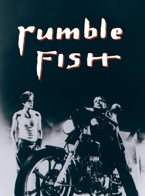 映画「ランブルフィッシュ」の名言と鑑賞した感想おすすめ度