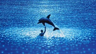 映画「ザ・ビッグブルー」の名言と鑑賞した感想おすすめ度