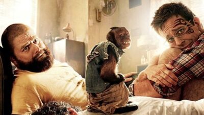 映画「ハングオーバー2」の名言と鑑賞した感想おすすめ度
